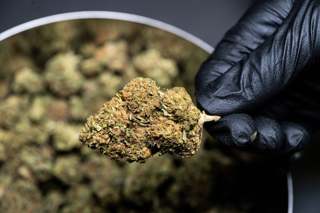 Beyond CBD: 8 Cannabinoids and Their Properties
