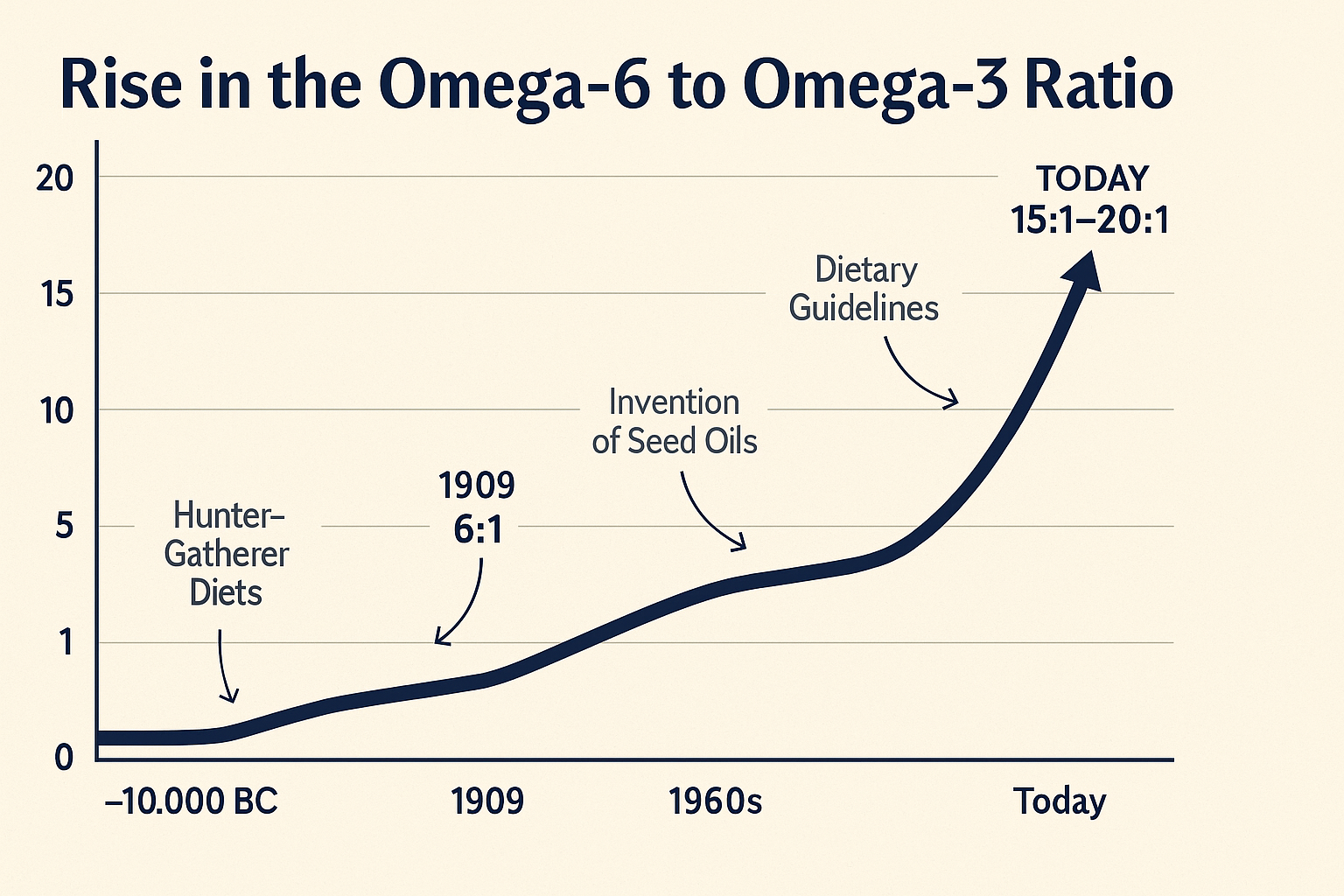 Seed Oils Are Slowly Killing You: Here’s What to Use Instead