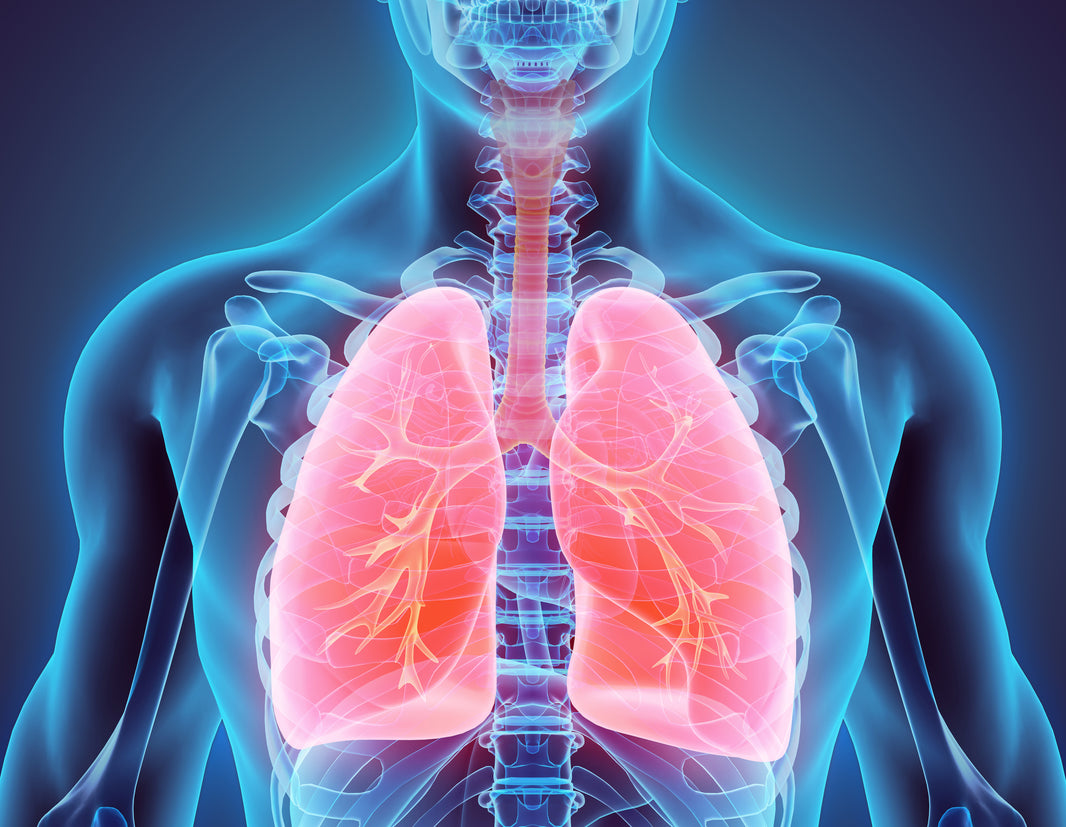 Lipoxins are on the Front Lines of Fighting Inflammation